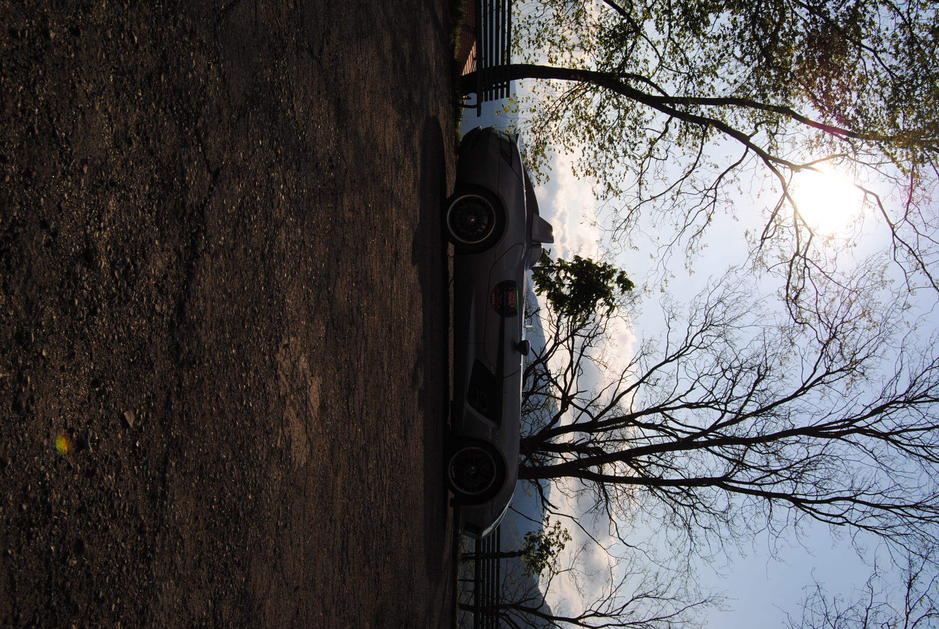 DSC_0502.JPG